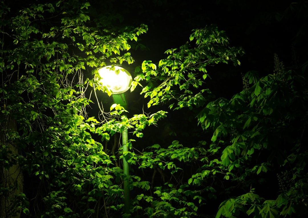 Photo outdoor lights